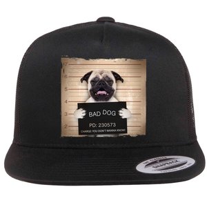 Bad Dog Funny Pug Prison Mug Shot Flat Bill Trucker Hat