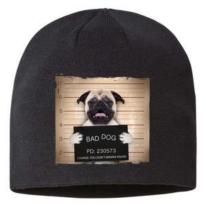 Bad Dog Funny Pug Prison Mug Shot Sustainable Beanie