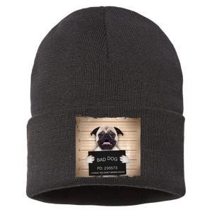 Bad Dog Funny Pug Prison Mug Shot Sustainable Knit Beanie