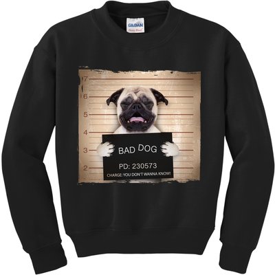Bad Dog Funny Pug Prison Mug Shot Kids Sweatshirt