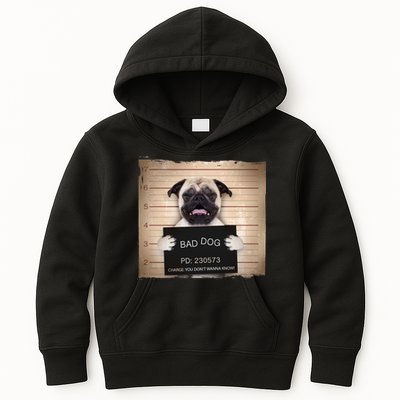 Bad Dog Funny Pug Prison Mug Shot Kids Hoodie
