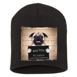 Bad Dog Funny Pug Prison Mug Shot Short Acrylic Beanie