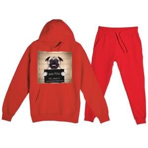 Bad Dog Funny Pug Prison Mug Shot Premium Hooded Sweatsuit Set