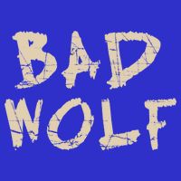 Bad Wolf Kids Hoodie