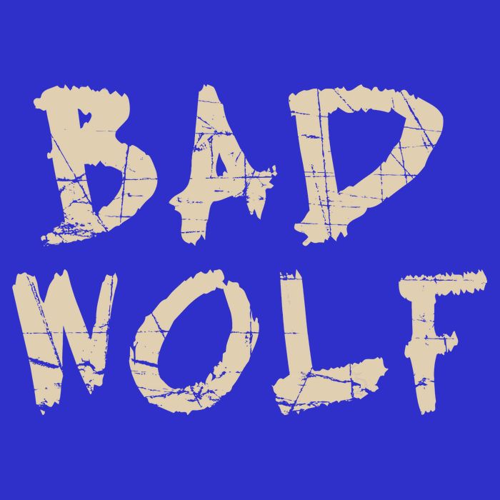 Bad Wolf Kids Hoodie