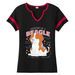 Beagle Anatomy Dog Ladies Halftime Notch Neck Tee