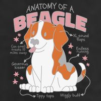Beagle Anatomy Dog Adult Drive Performance Visor