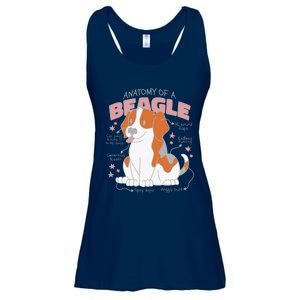 Beagle Anatomy Dog Ladies Essential Flowy Tank