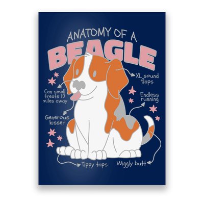 Beagle Anatomy Dog Poster