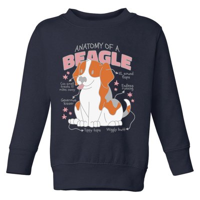Beagle Anatomy Dog Toddler Sweatshirt