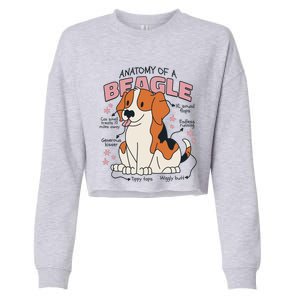 Beagle Anatomy Dog Cropped Pullover Crew