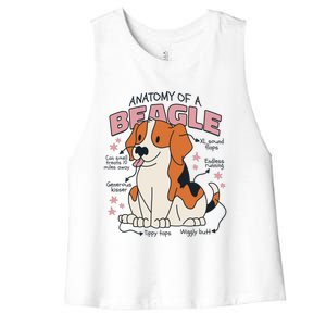 Beagle Anatomy Dog Women's Racerback Cropped Tank