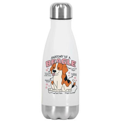 Beagle Anatomy Dog Stainless Steel Insulated Water Bottle