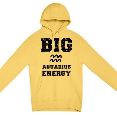 Big Aquarius Energy January February Birthday Zodiac Funny Gift Premium Pullover Hoodie