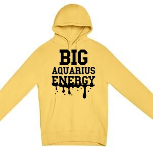 Big Aquarius Energy Zodiac Sign Drip Birthday Premium Pullover Hoodie