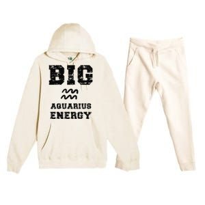 Big Aquarius Energy January February Birthday Zodiac Funny Premium Hooded Sweatsuit Set