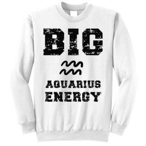 Big Aquarius Energy January February Birthday Zodiac Funny Sweatshirt