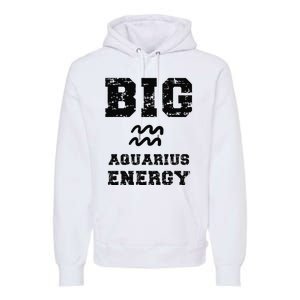 Big Aquarius Energy January February Birthday Zodiac Funny Premium Hoodie