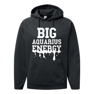 Big Aquarius Energy Women Zodiac Sign Drip Birthday Performance Fleece Hoodie