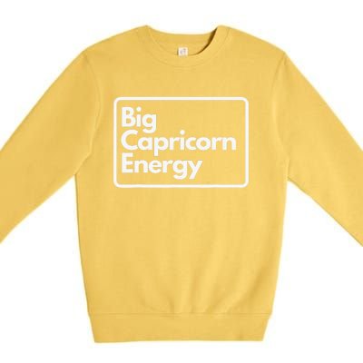 Big Aquarius Energy Groovy Zodiac Astrology Flower Funny Premium Crewneck Sweatshirt