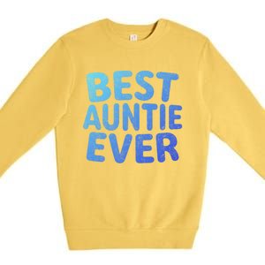 Best Auntie Ever Gift Funny Mothers Day Gift Christmas Cool Gift Premium Crewneck Sweatshirt