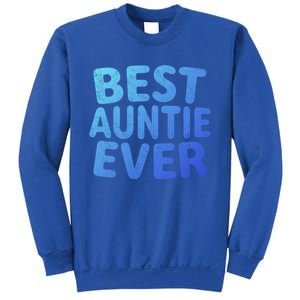 Best Auntie Ever Gift Funny Mothers Day Gift Christmas Cool Gift Sweatshirt