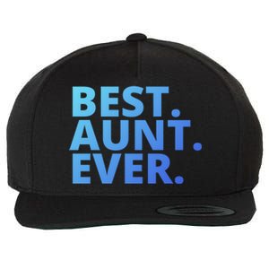 Best Aunt Ever From Niece Nephew Matching Auntie Lover Cool Gift Wool Snapback Cap