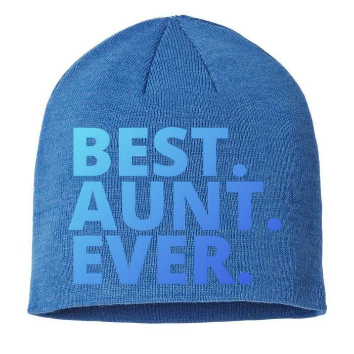 Best Aunt Ever From Niece Nephew Matching Auntie Lover Cool Gift Sustainable Beanie