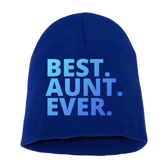 Best Aunt Ever From Niece Nephew Matching Auntie Lover Cool Gift Short Acrylic Beanie