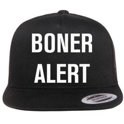 Boner Alert Funny Jokes Sarcastic Family Flatbill Hat