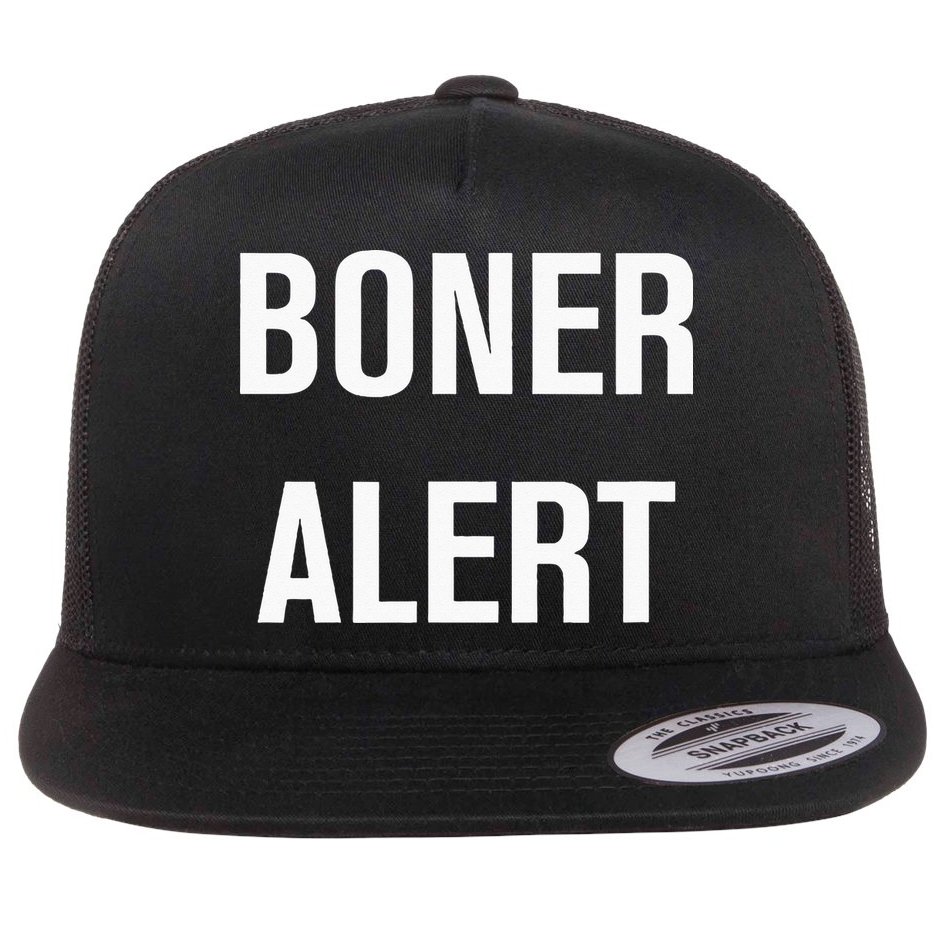 Boner Alert Funny Jokes Sarcastic Family Flat Bill Trucker Hat
