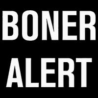 Boner Alert Funny Jokes Sarcastic Family Cropped Pullover Crew