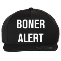 Boner Alert Funny Jokes Sarcastic Family Wool Snapback Cap