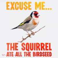 Bird Art For Women Bird Watching Birding Birdwatcher Poster