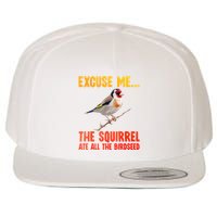 Bird Art For Women Bird Watching Birding Birdwatcher Wool Snapback Cap