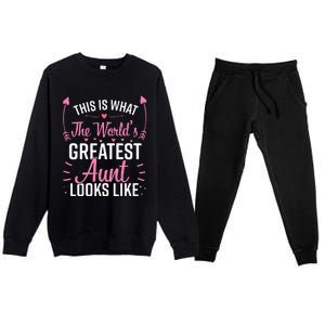 Best Aunt Future Aunt Aunt To Be Auntie Premium Crewneck Sweatsuit Set