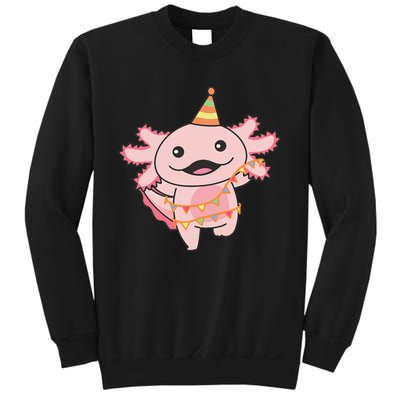 Birthday Axolotl For A Birthday Axolotl Sweatshirt