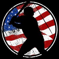 Baseball American Flag Vintage Baseball T-Shirt
