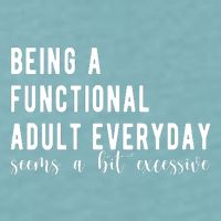 Being A Functional Adult Everyday Seems A Bit Excessive Funny Sueded Cloud Jersey T-Shirt