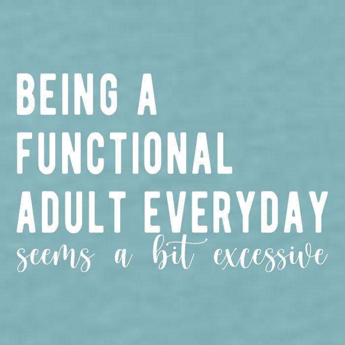 Being A Functional Adult Everyday Seems A Bit Excessive Funny Sueded Cloud Jersey T-Shirt