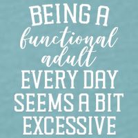 Being A Functional Adult Every Day Seems A Bit Excessive Funny Sueded Cloud Jersey T-Shirt