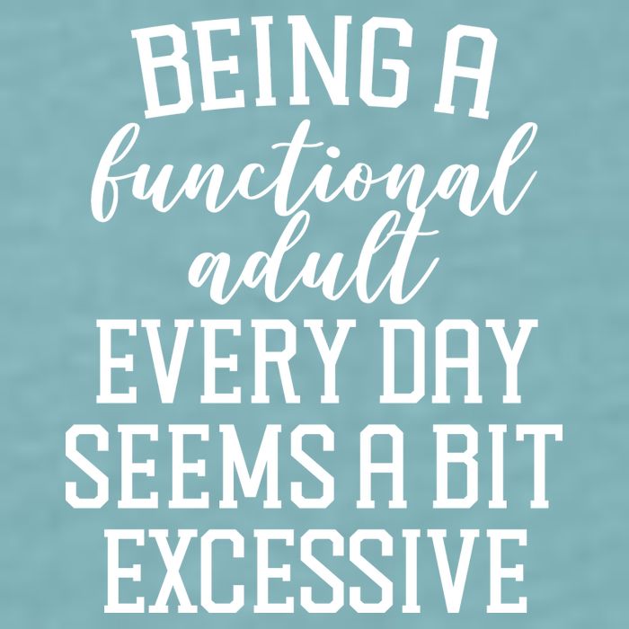 Being A Functional Adult Every Day Seems A Bit Excessive Funny Sueded Cloud Jersey T-Shirt