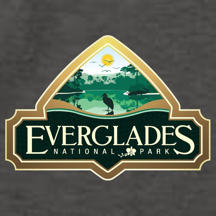 Bird And Florida Alligator Of Everglades National Park Vector Backpack
