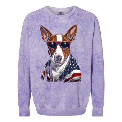 Basenji American Flag USA Tee 4th July Gifts Graphic Tees Colorblast Crewneck Sweatshirt