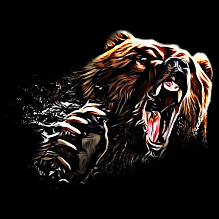 Big Alaska Grizzly Bear Clothing & - Grizzly Bear Impact Tech Backpack