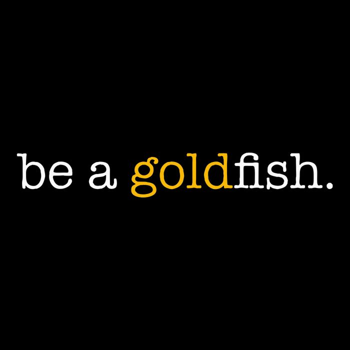 Be A Goldfish Goldfish Funny Quotes Sustainable Bucket Hat