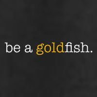 Be A Goldfish Goldfish Funny Quotes Adult Drive Performance Visor