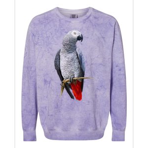 Beautiful African Grey Parrot Colorblast Crewneck Sweatshirt