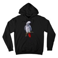 Beautiful African Grey Parrot Hoodie