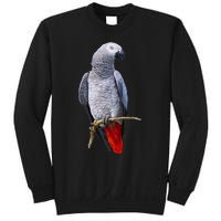 Beautiful African Grey Parrot Sweatshirt